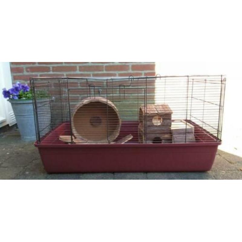 Hamster/cavia kooi. 84 cm bij 49 cm. Met houten speeltjes.