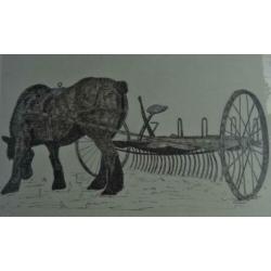 PENTEKENING * PAARD MET PLOEG * In Lijst *