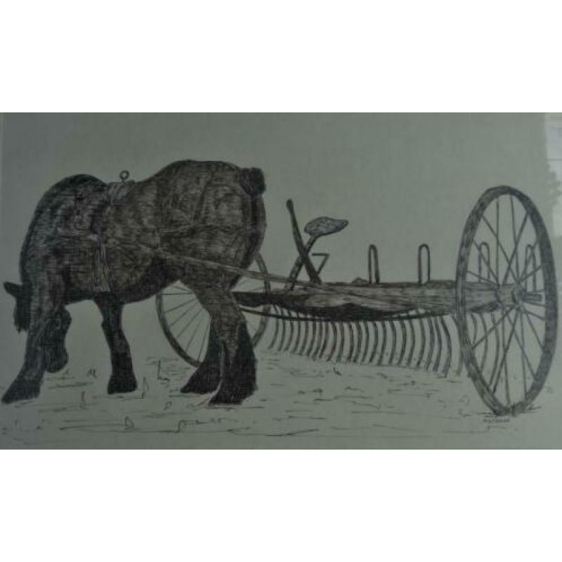 PENTEKENING * PAARD MET PLOEG * In Lijst *