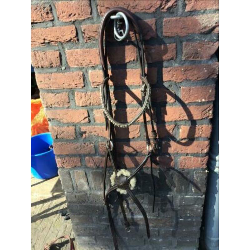 Hoofdstel paard Mexicaanse neusriem bruin