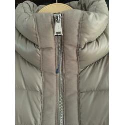 Polo Golf Ralph Lauren dons jas/jacket mt S NIEUW