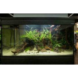 Aspect modern Aquarium + meubel, nergens meer keus!