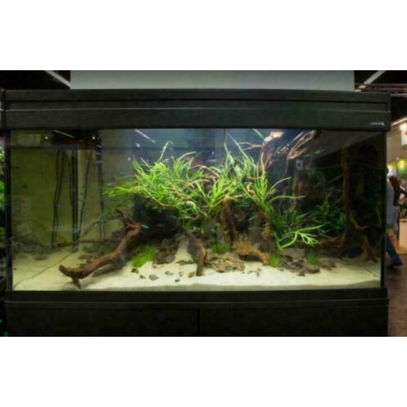 Aspect modern Aquarium + meubel, nergens meer keus!
