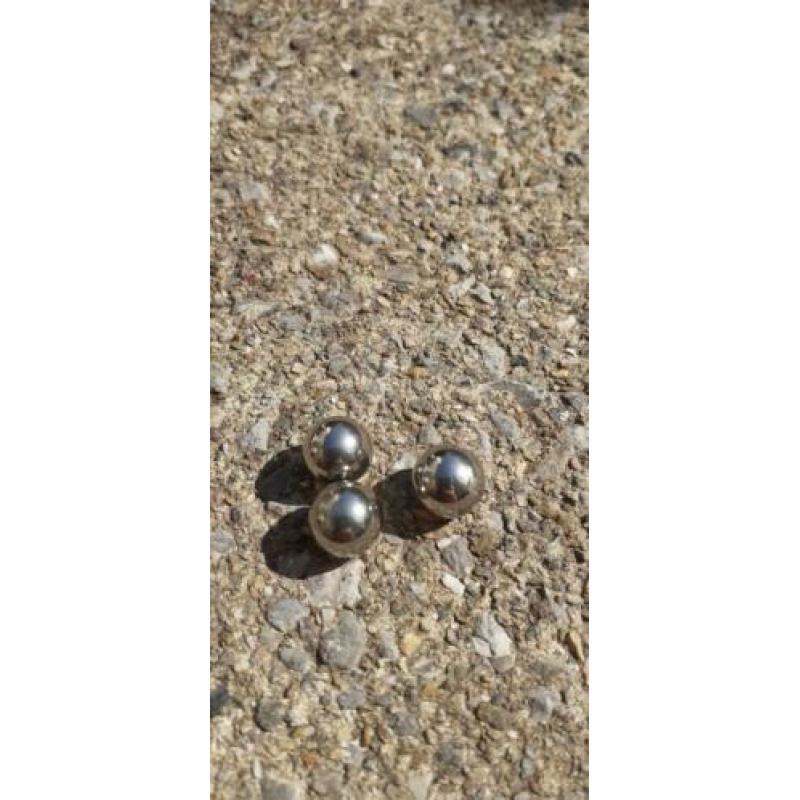 Lager kogels 10 mm rvs