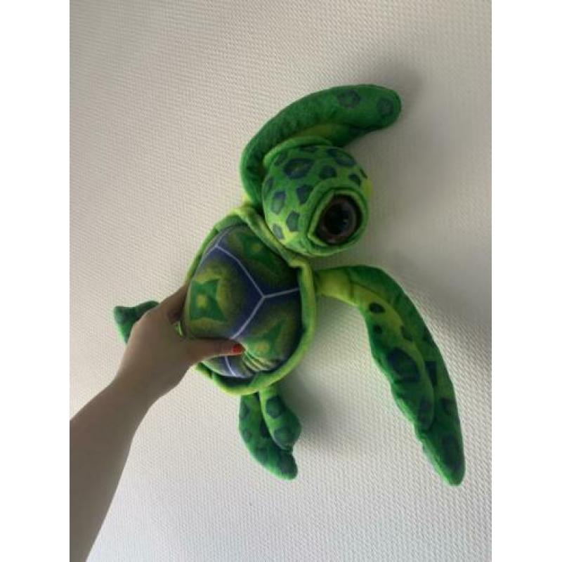 Schilpad