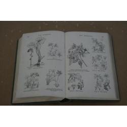 Plantenatlas voor Nederland - Heukels - 1911 !!