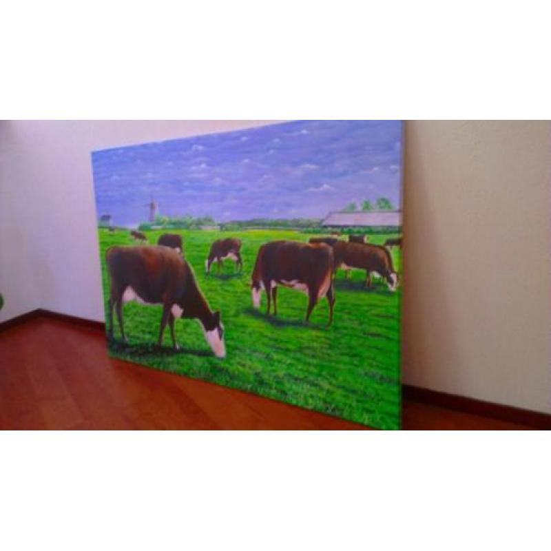 Groot schilderij Koeien / koe , nieuw