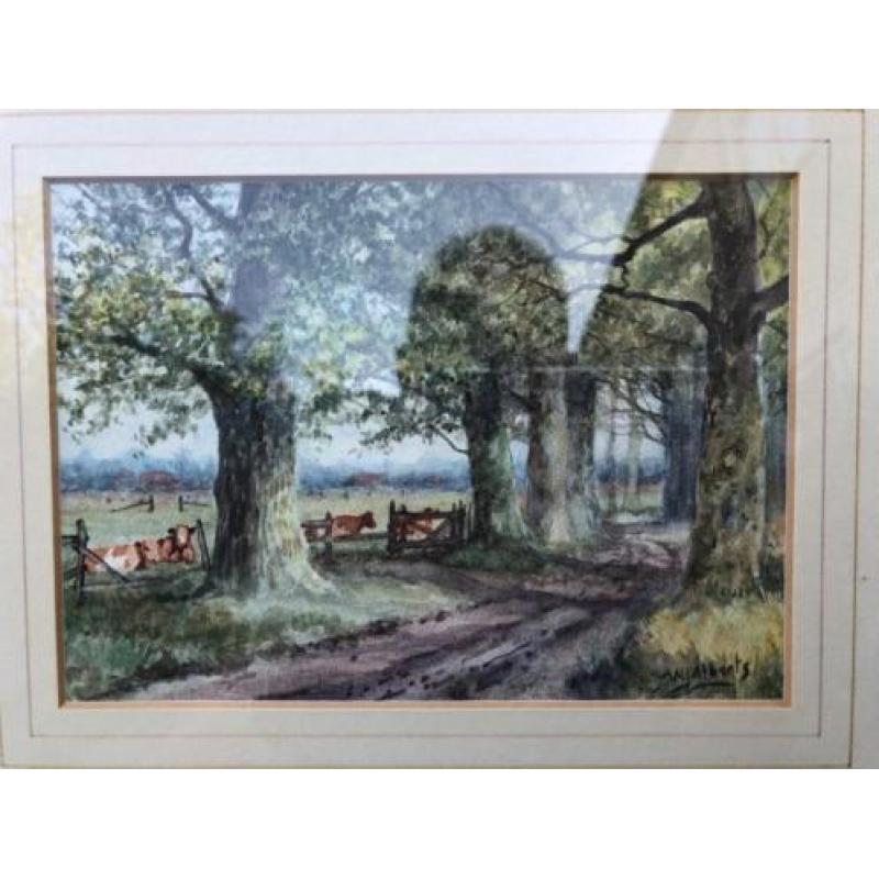 Boerenlandschap met weg en koeien door W.J. Alberts