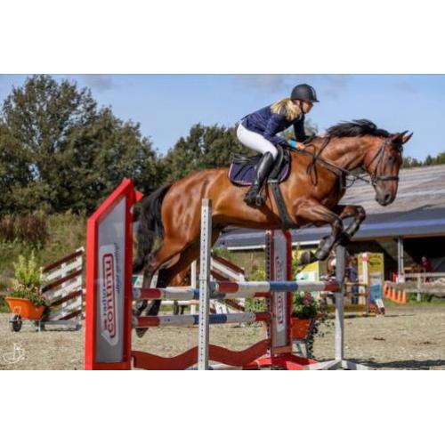 Lieve 9 jarige Ruin te koop!