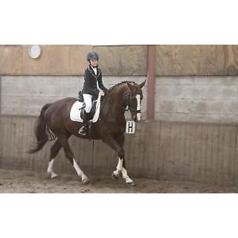 Enthousiaste lieve ruin