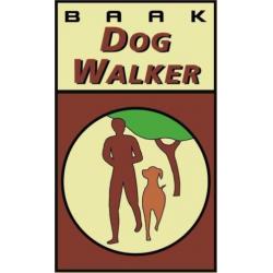 DogWalker wandelschoen "LINES" Styled by Grisport maat 44