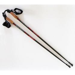 nordic walkingstokken