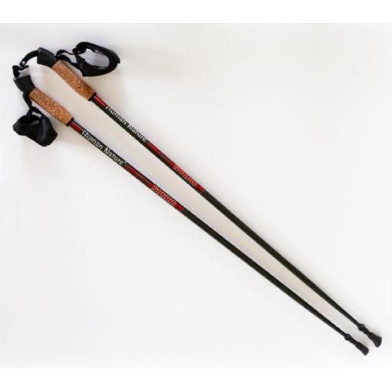 nordic walkingstokken