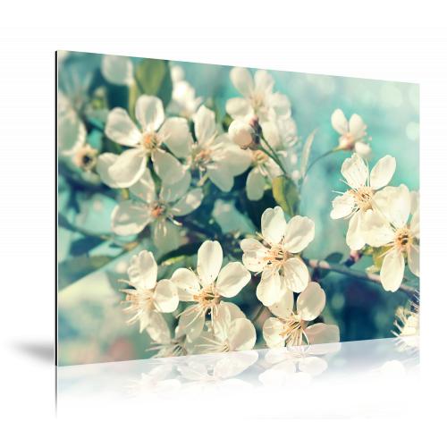 Foto op dibond Zijdeglans 70x90
